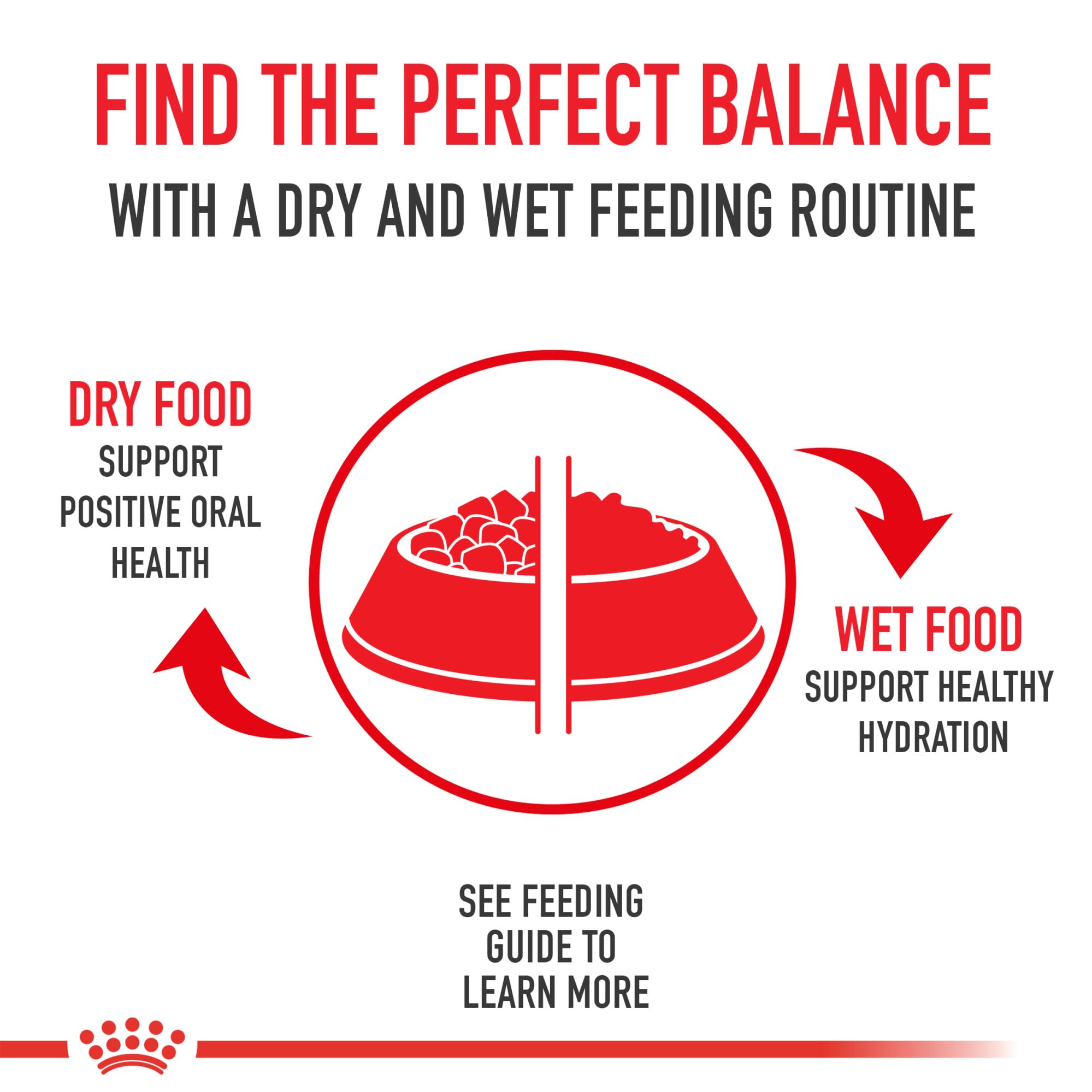 ROYAL CANIN variety pack cans shown to highlight the included recipes.