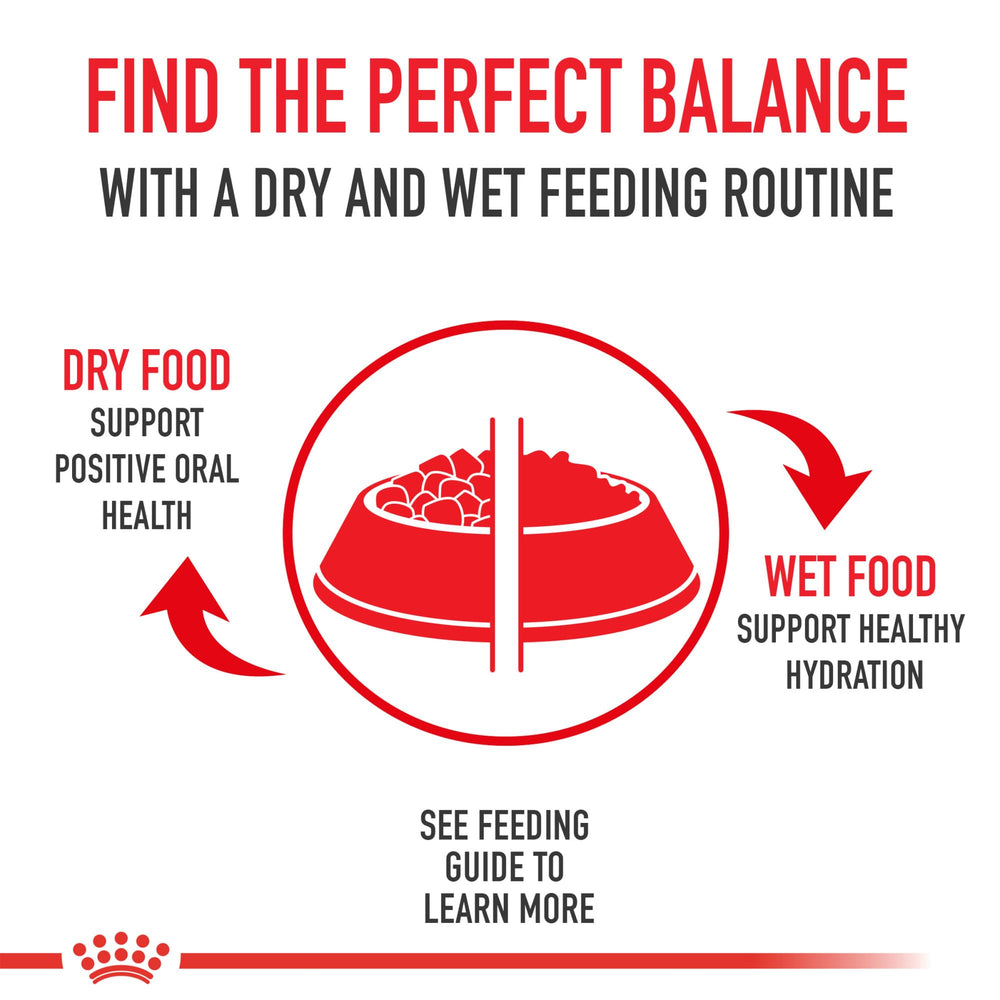 ROYAL CANIN variety pack cans shown to highlight the included recipes.