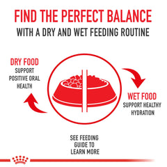 ROYAL CANIN variety pack cans shown to highlight the included recipes.