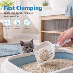 Roypet tofu cat litter shown as a two-bag package.