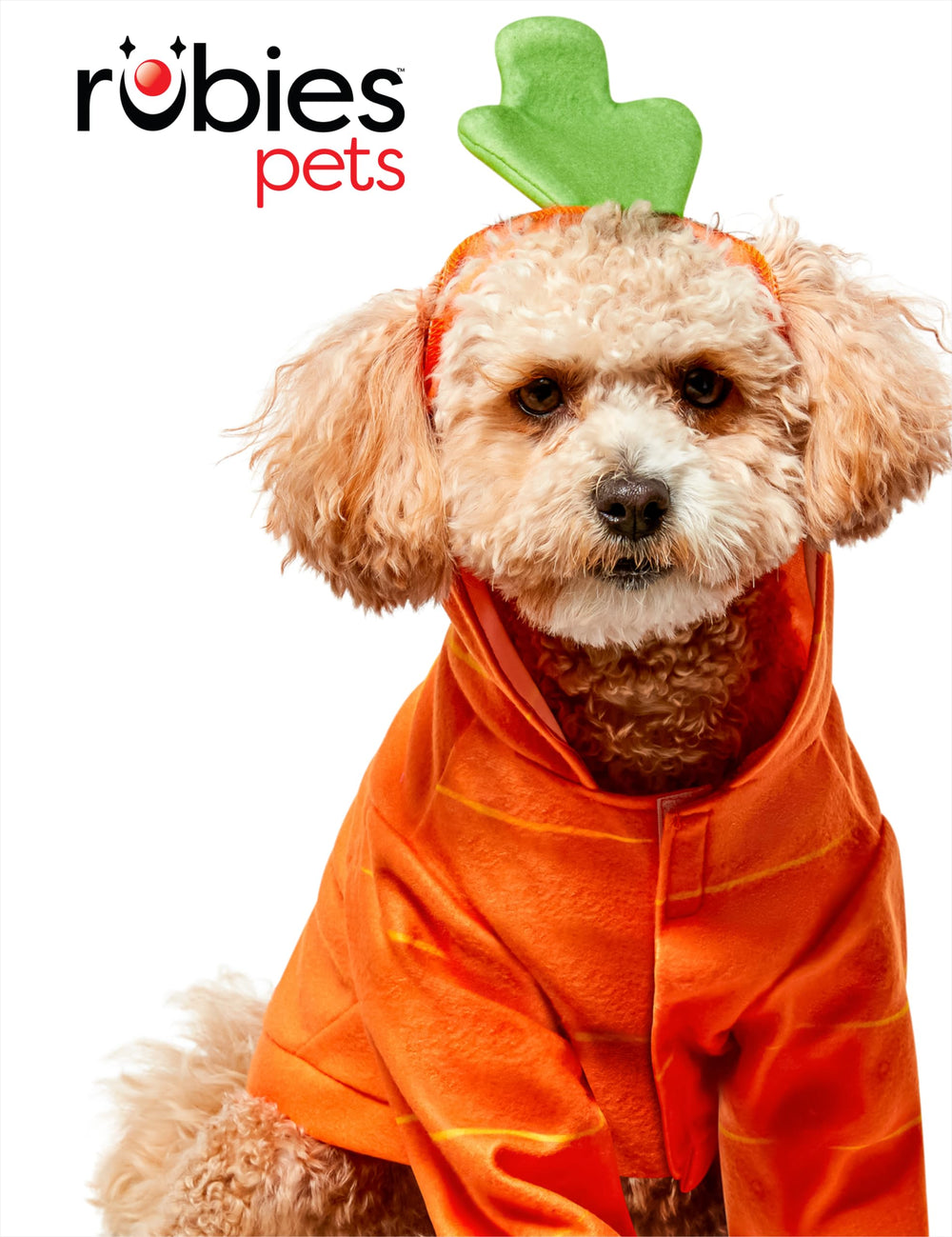 Rubies Carrot Pet Costume shown worn by a pet.