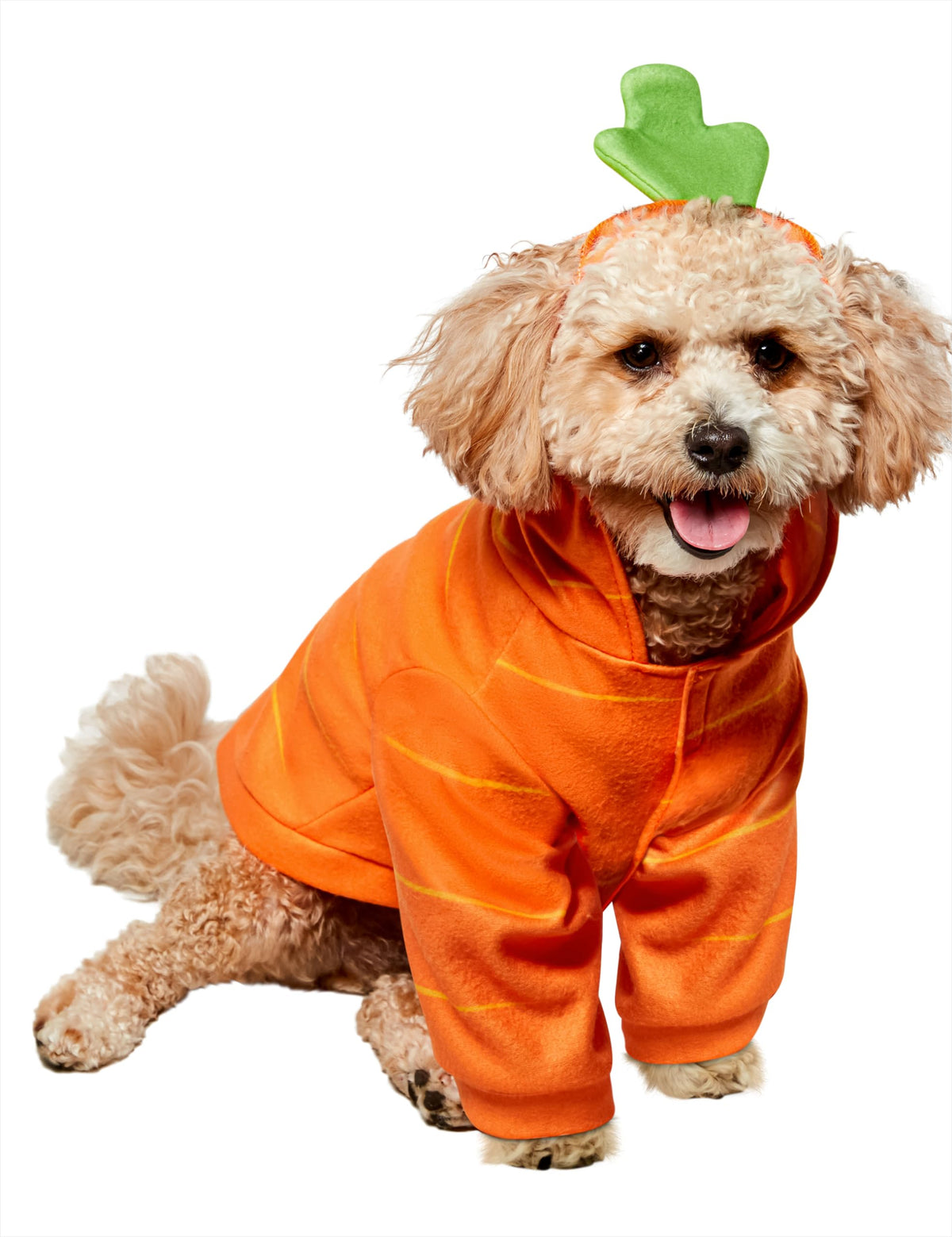 Rubies Carrot Pet Hoodie Costume shown from the front with its orange body and green hood.