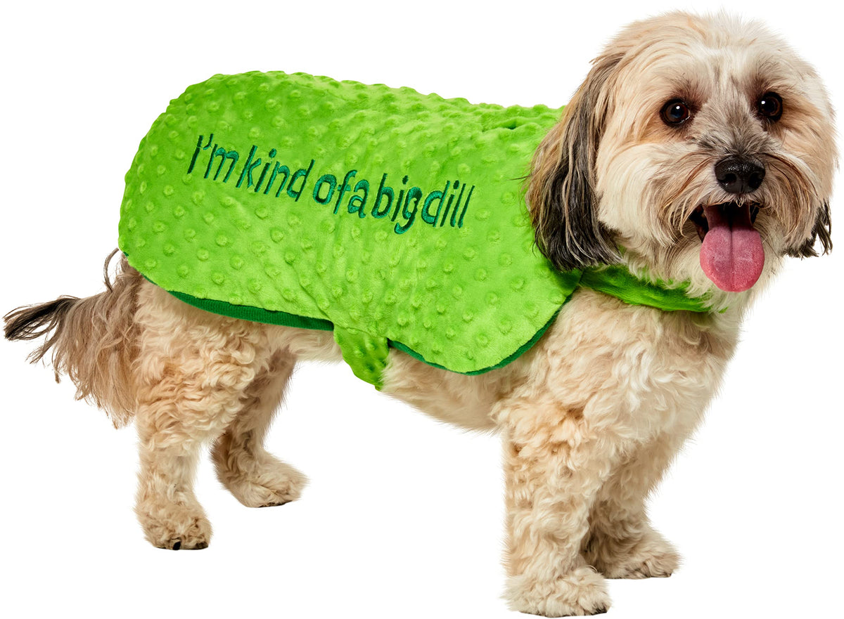 Rubies Pickle Pet Costume shown from the front in its green pickle design.