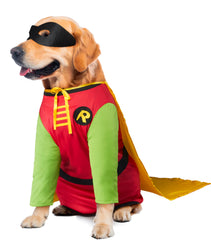 Rubies Teen Titans Robin pet costume shown from the front with its character-inspired pieces.