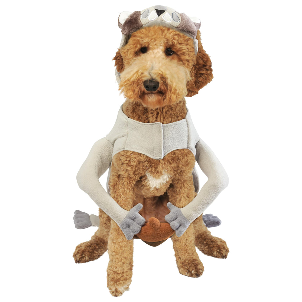 Rubies Squirrel Pet Costume matching squirrel character headpiece.