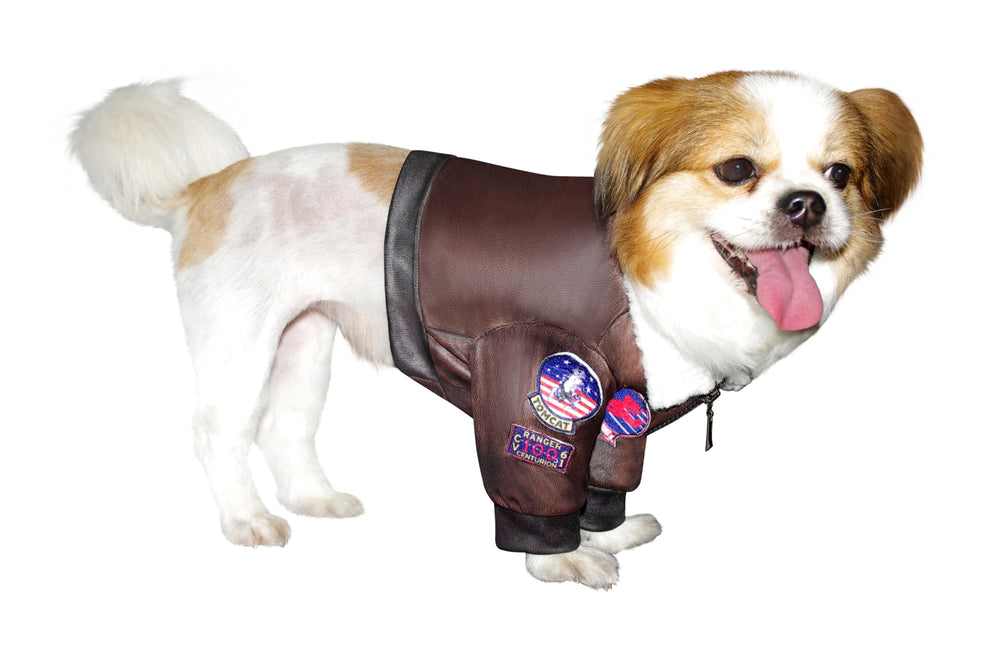 Rubies Top Gun pet costume worn by a cat.