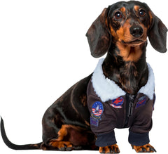 Rubies Top Gun pet costume shown from the front.