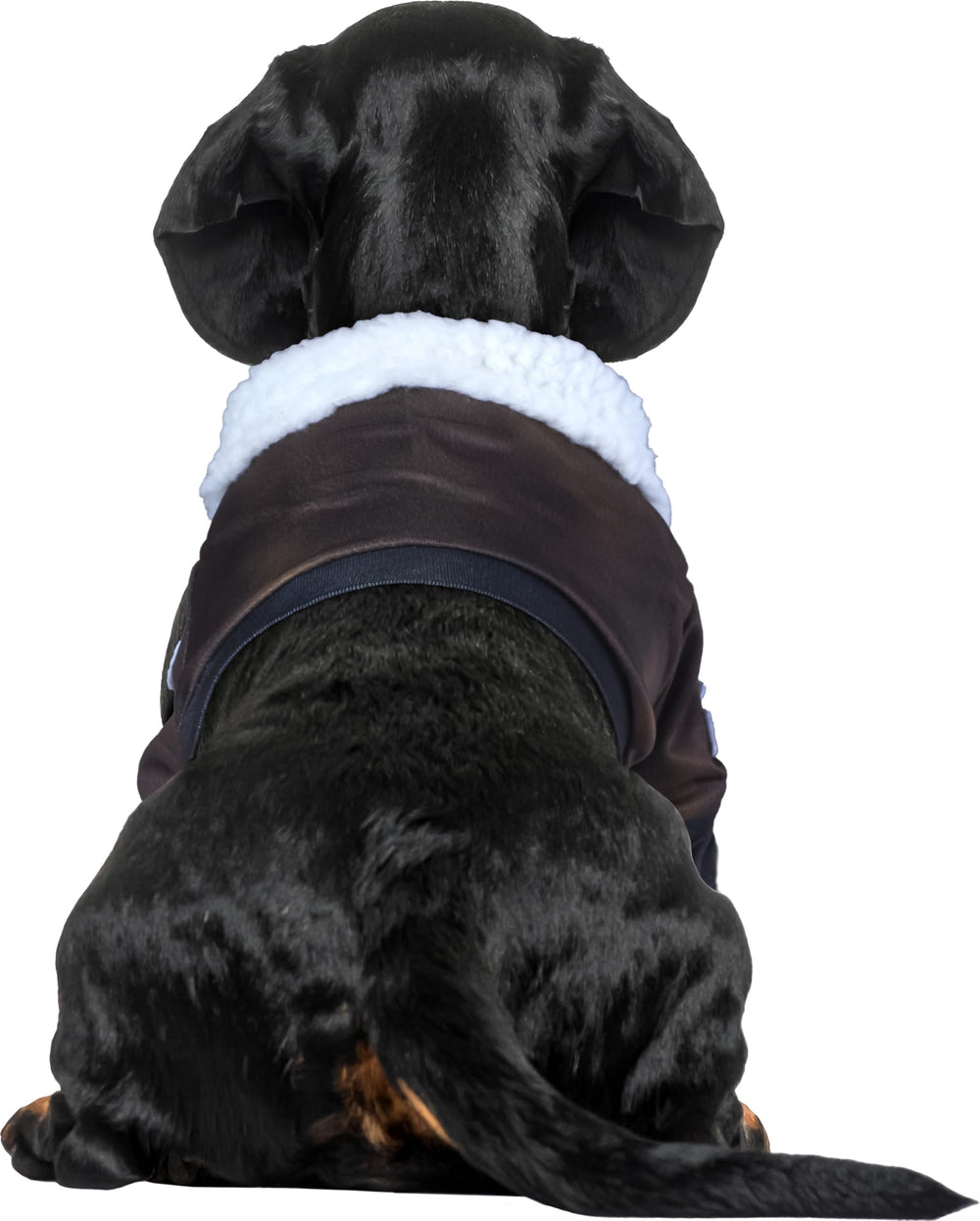 Rubies Top Gun pet costume showing its authentic patches.