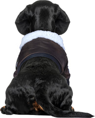 Rubies Top Gun pet costume showing its authentic patches.