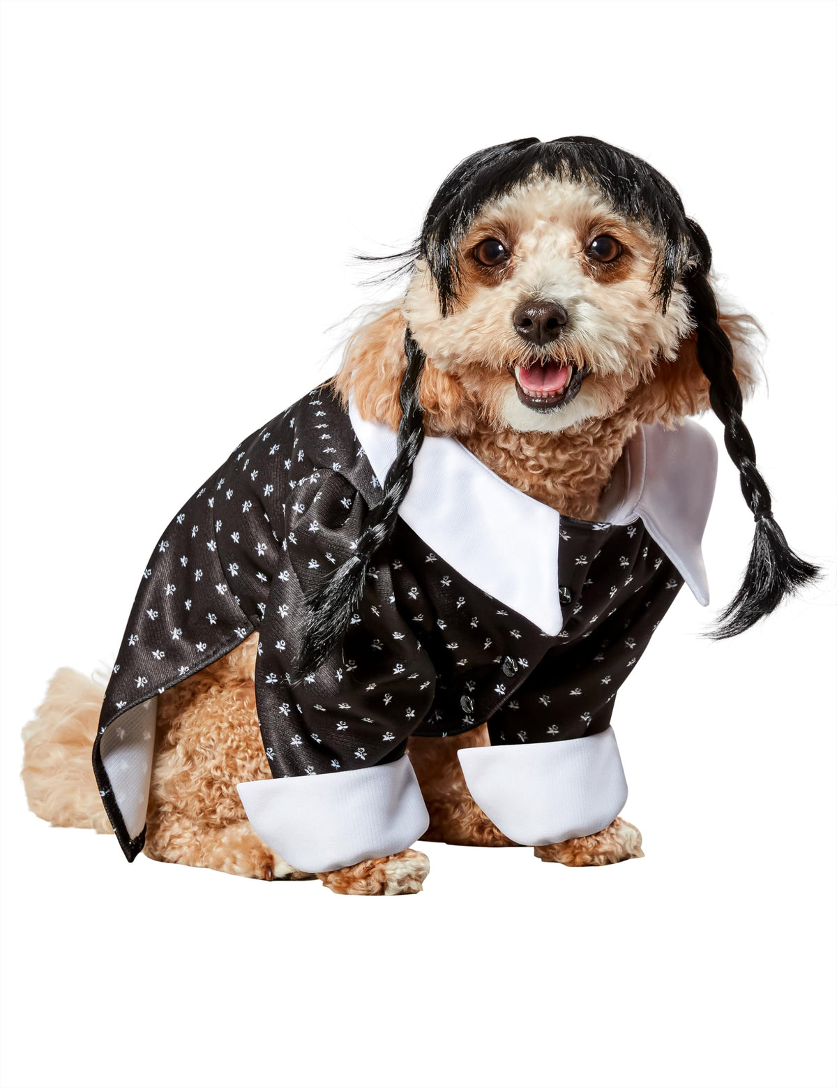 Rubies Wednesday Addams pet costume shown from the front with its character-inspired shirt and wig.