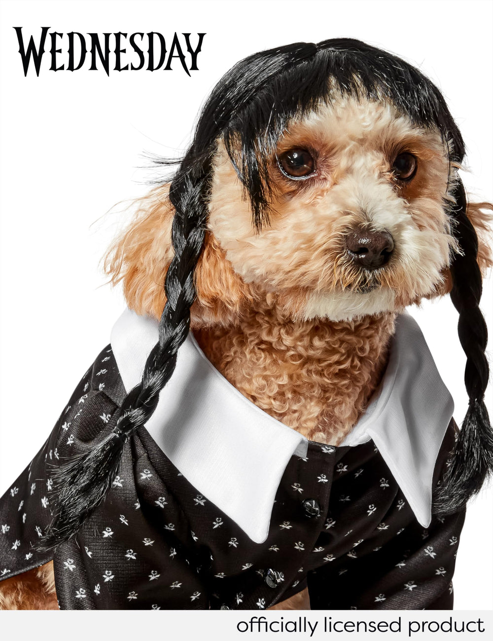 Rubies Wednesday Addams pet costume shown worn by a cat.