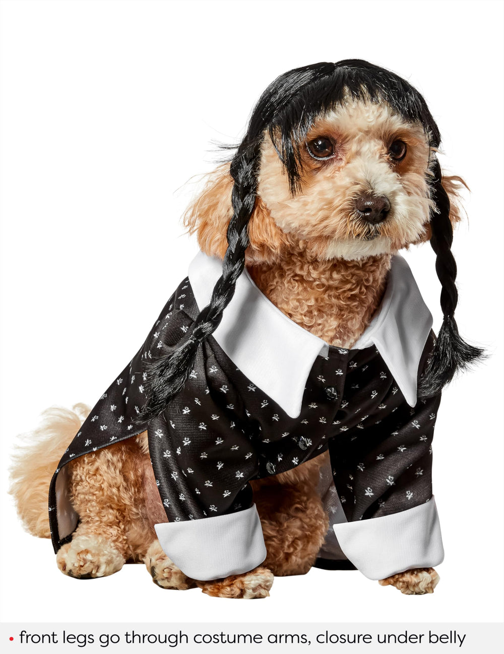 Rubies Wednesday Addams pet costume shown worn by a dog.