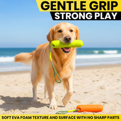 Ruffify Floating Dog Water Toys with an EVA bumper body.