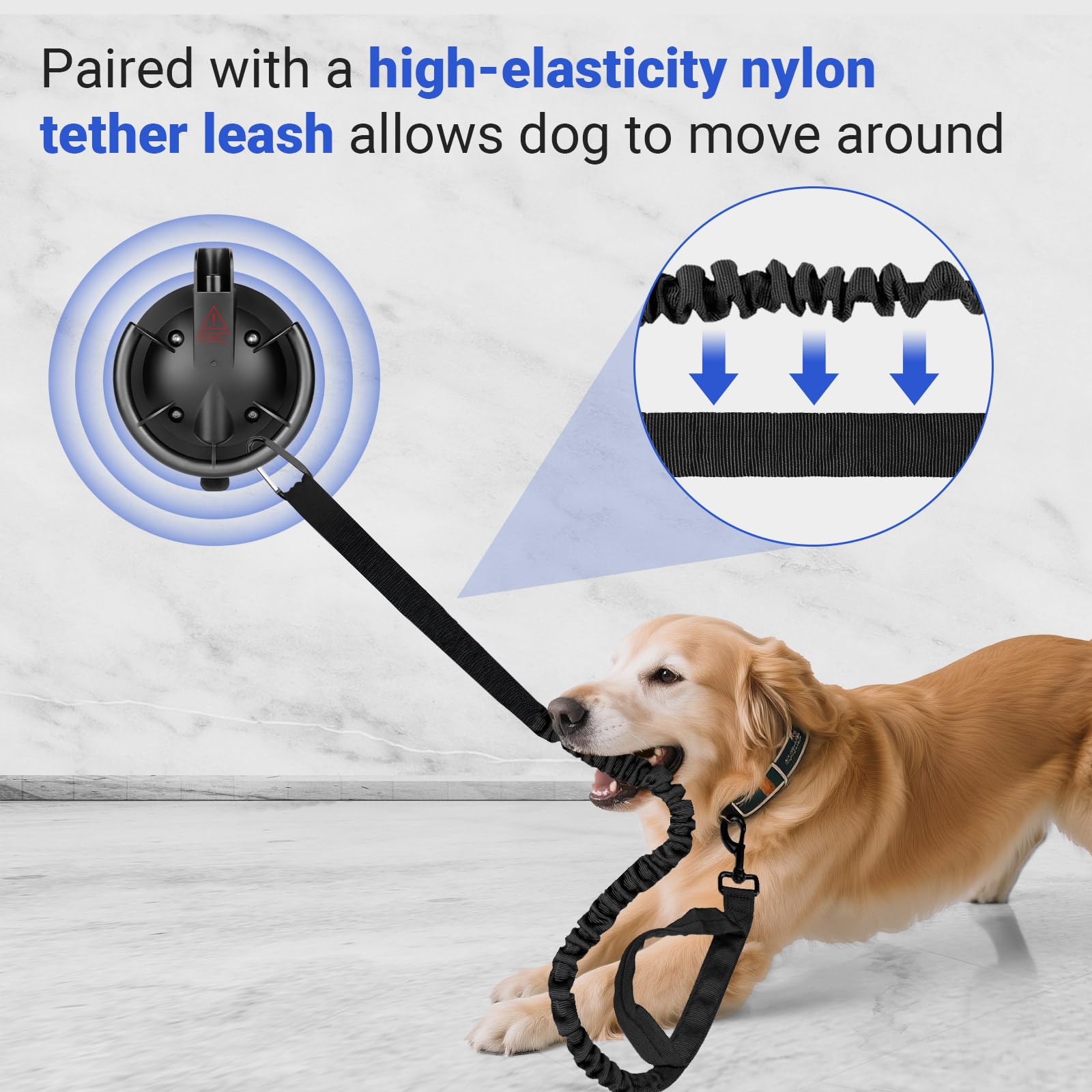Ruppence dog bathing tether attached for use during a bath.