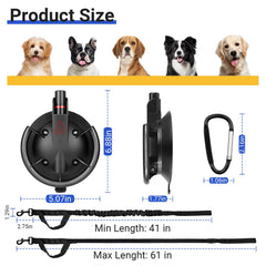 Ruppence dog grooming tether with its high-elasticity nylon leash.