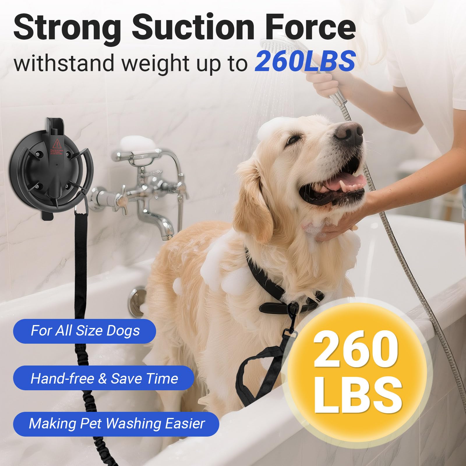 Ruppence dog grooming suction cup showing its large base.