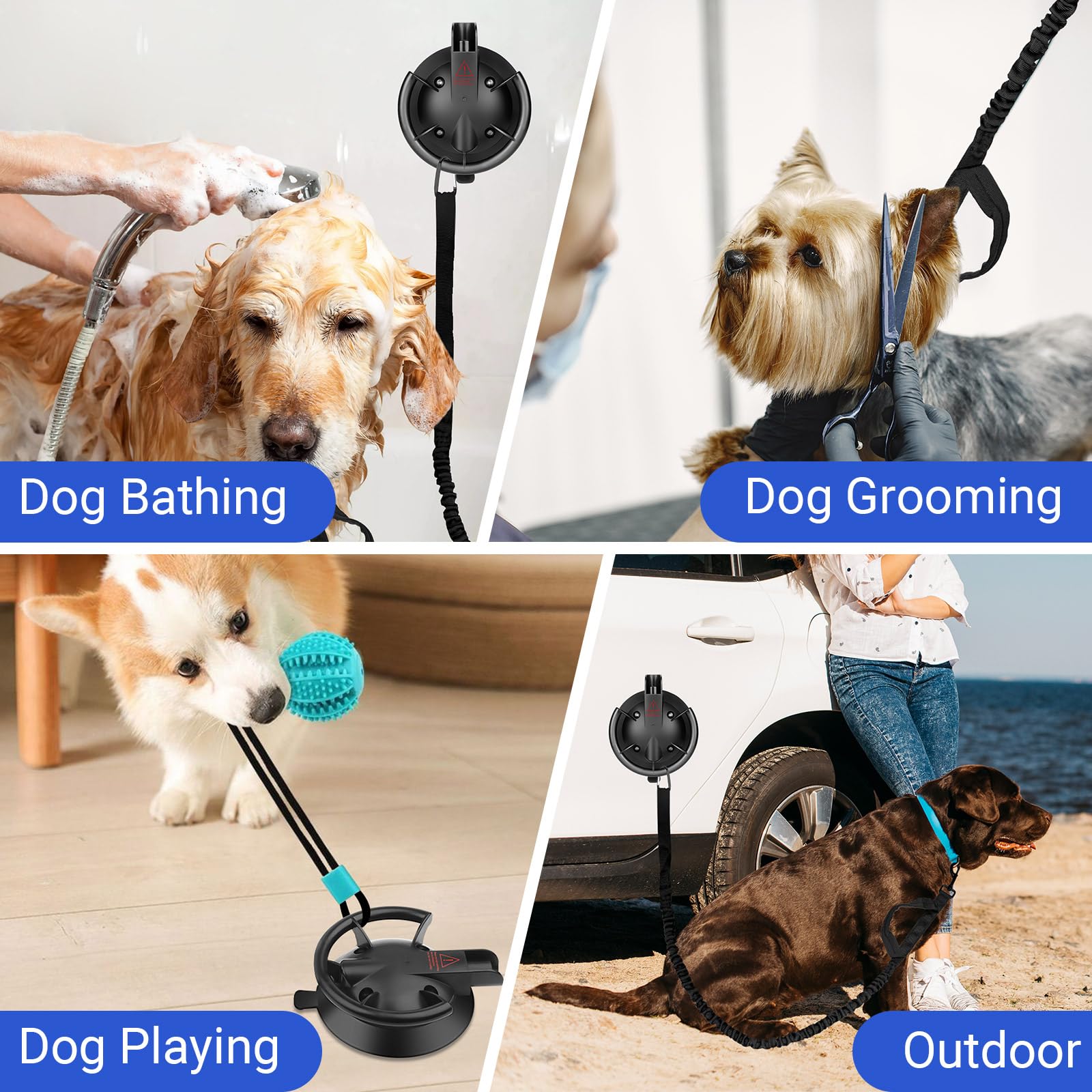 Ruppence dog tether attached to a smooth, flat surface.