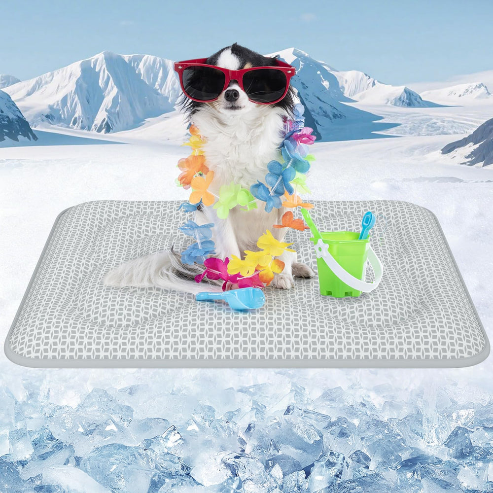 Rywell dog cooling mat shown from the front with its Ice Blue cooling surface.