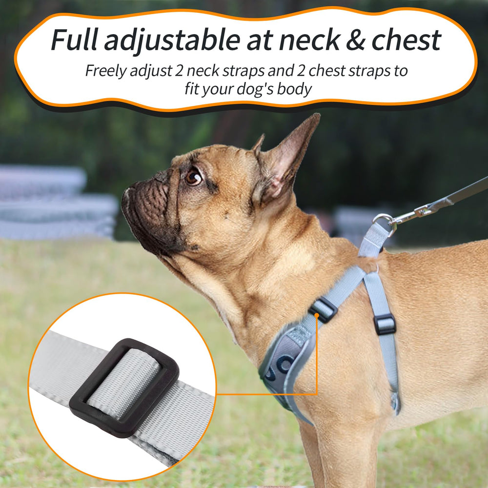 SAEGYPET dog harness detail showing its adjustable neck and chest straps.