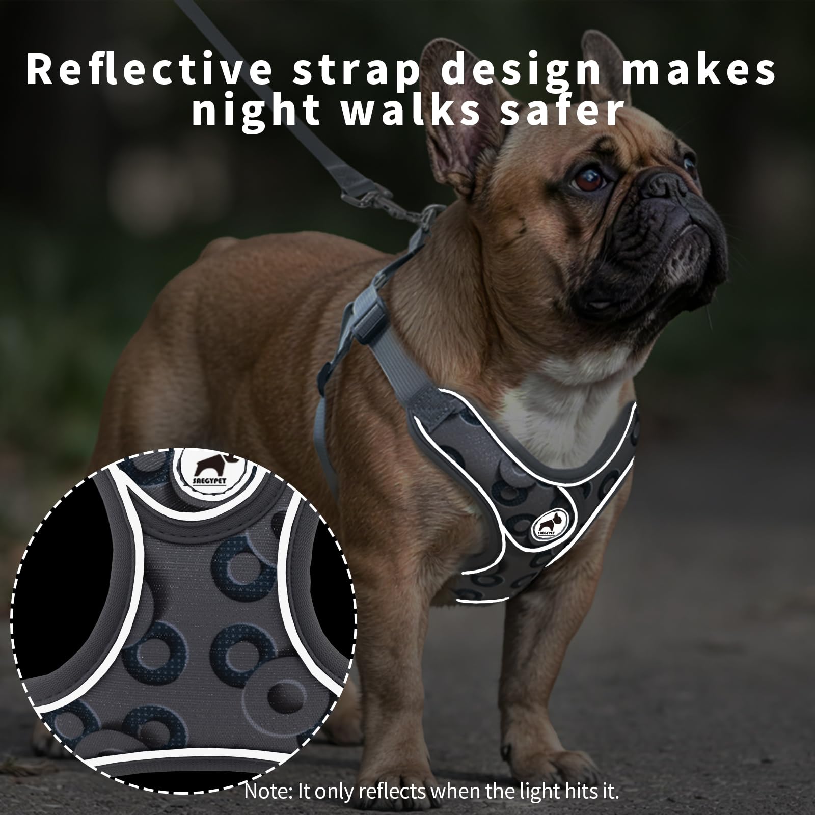 SAEGYPET dog harness and leash shown together as a set.