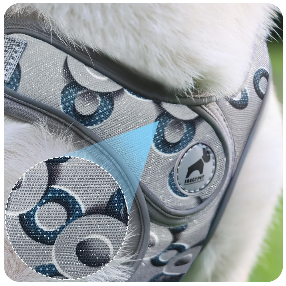 SAEGYPET dog harness shown being worn in a step-in fit.