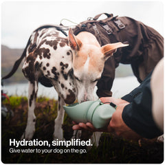 SÄKER portable dog water bottle with its lip turned into a drinking bowl.