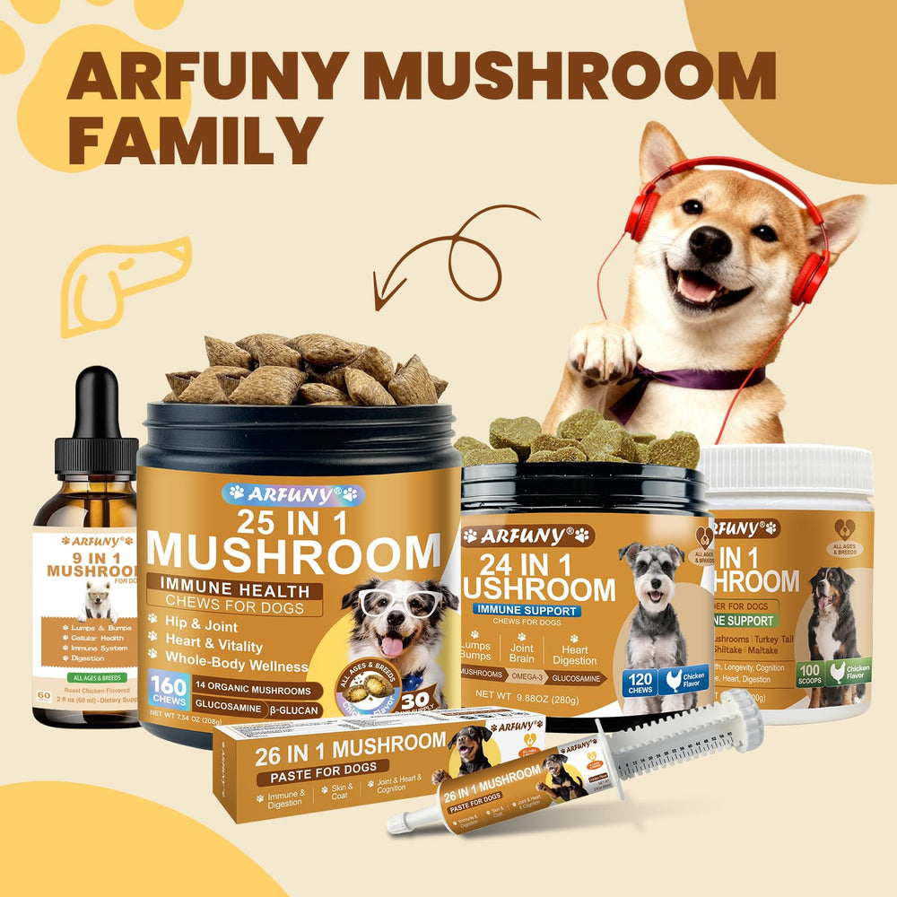 SANTKOL dog mushroom powder shown from an alternate angle.