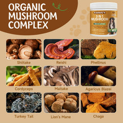 SANTKOL dog mushroom powder featuring turkey tail in the blend.