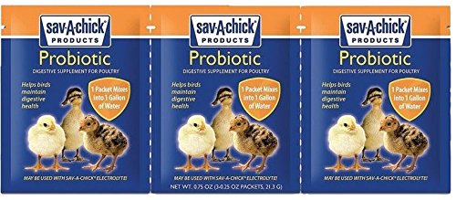 Sav-A-Chick electrolyte and vitamin supplement packet shown in a close-up view.
