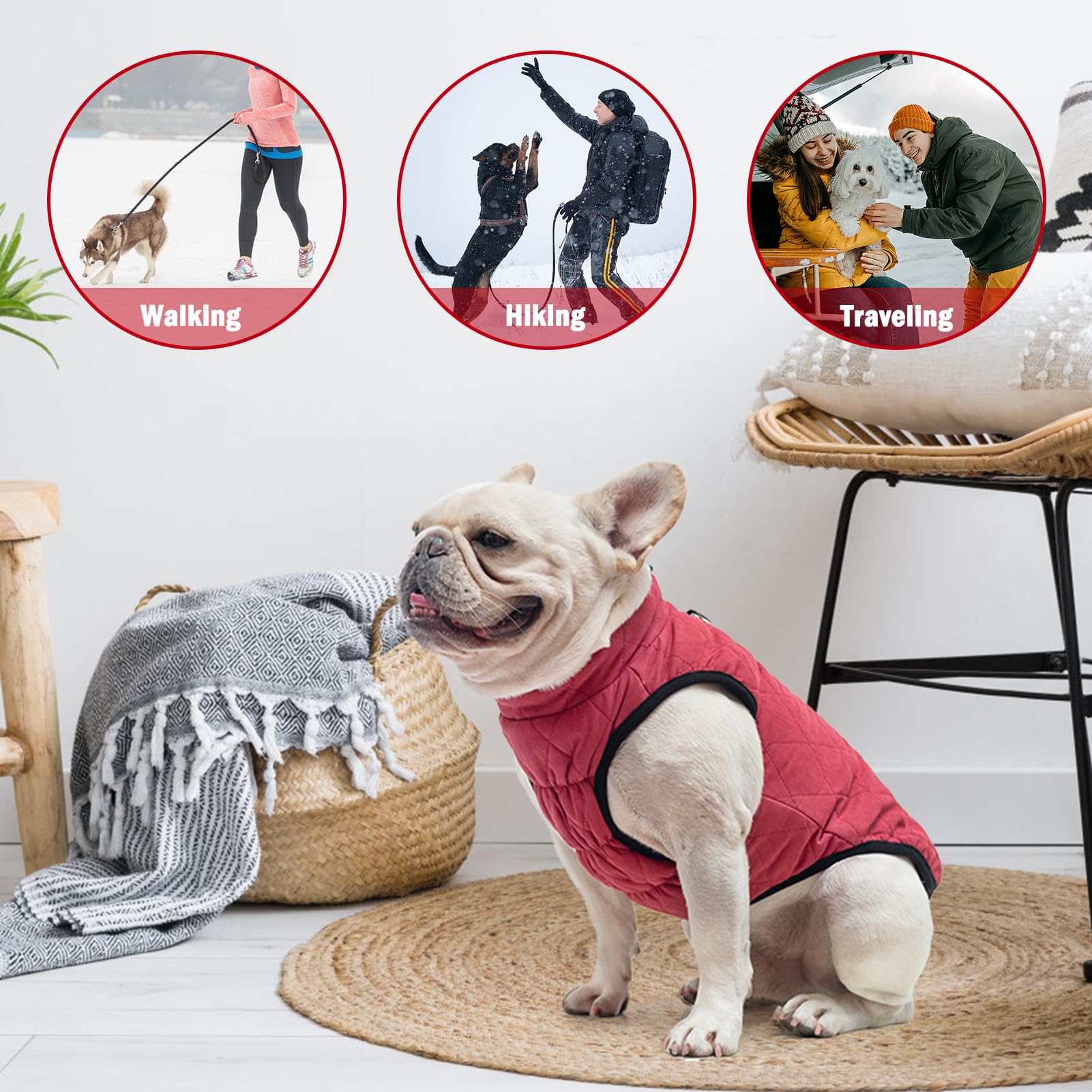SCENEREAL winter dog coat showing the elasticated chest band.
