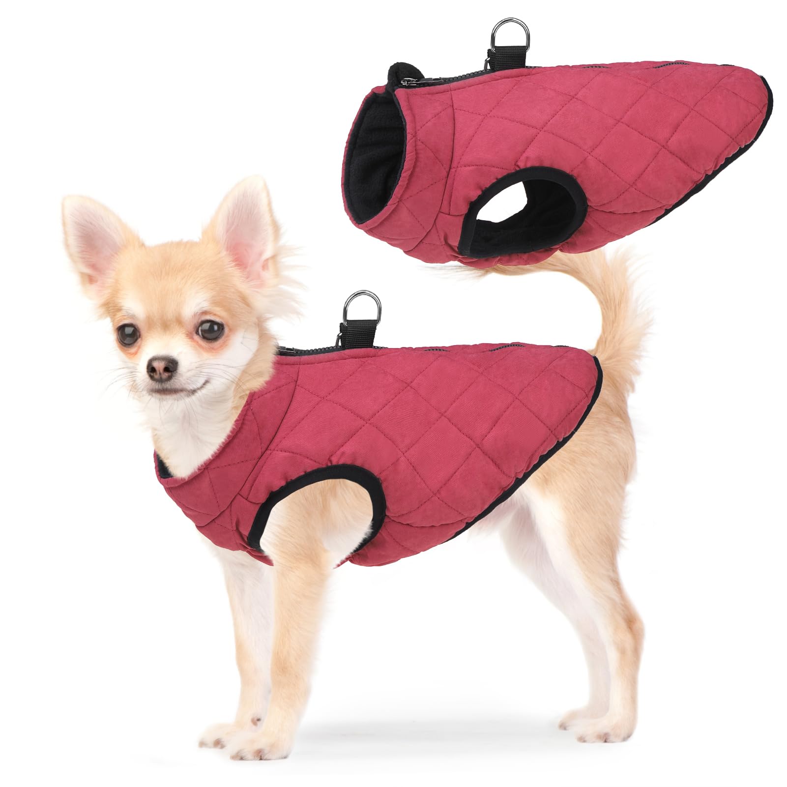 SCENEREAL winter dog coat shown from the front in red.