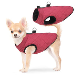SCENEREAL winter dog coat shown from the front in red.