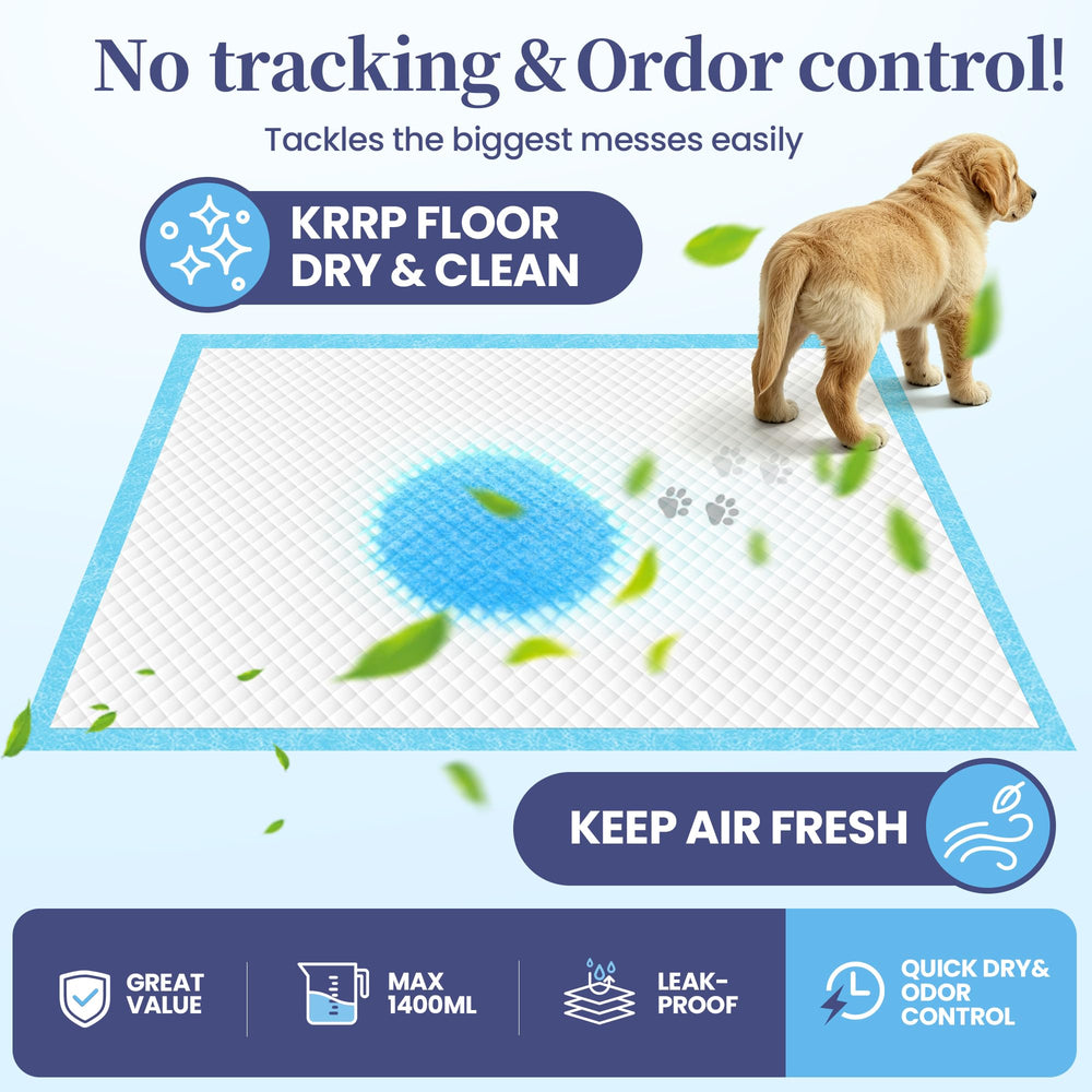 SCLOSE XL Dog Pee Pad shown in use for indoor puppy training.
