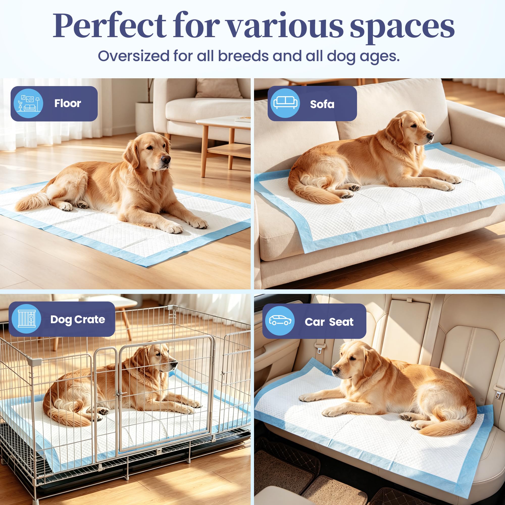 SCLOSE XL Dog Pee Pad shown for containing messes during travel.