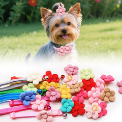 Senniea floral pet accessories shown in pink, red, brown, yellow, green, black, and blue.