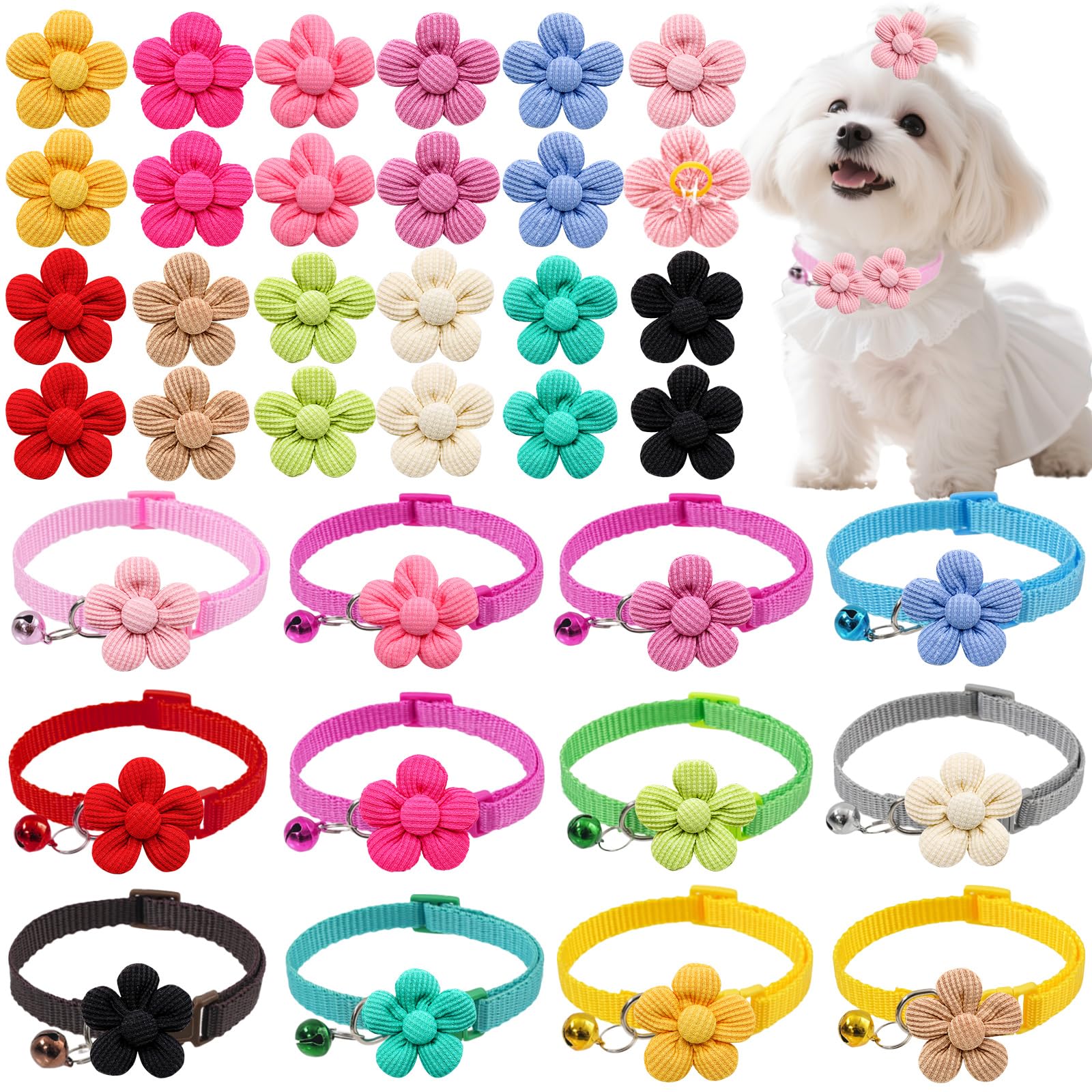 Senniea floral pet accessories set shown together in a front view.