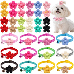 Senniea floral pet accessories set shown together in a front view.