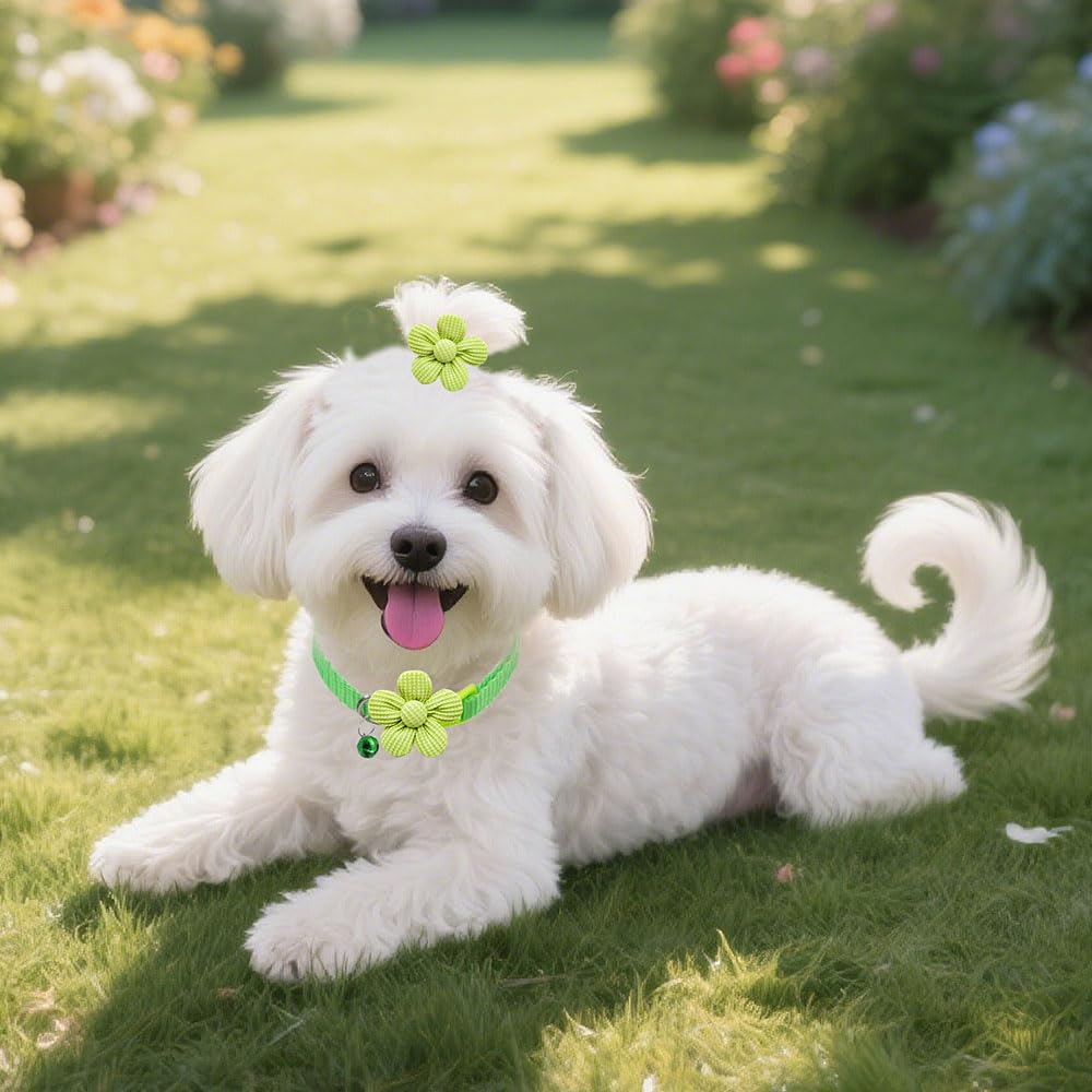 Senniea floral pet accessories shown from a side angle.