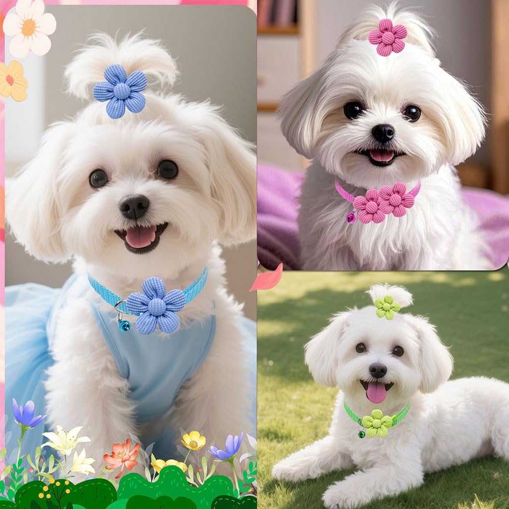 Senniea pet flower accessories shown styled on a pet.