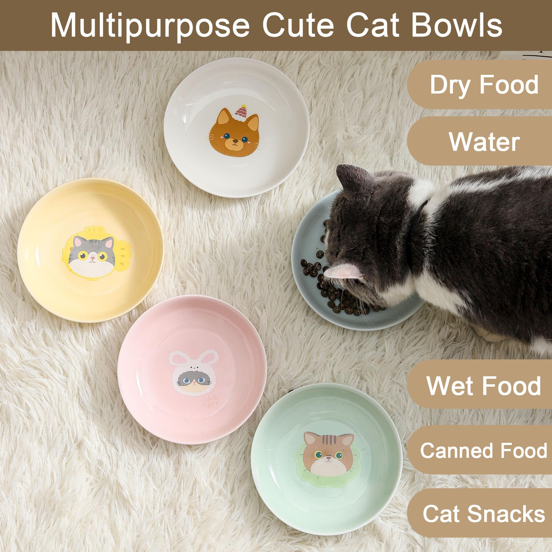 Seyatoo Ceramic Cat Bowl with a smooth interior surface.