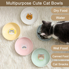 Seyatoo Ceramic Cat Bowl with a smooth interior surface.
