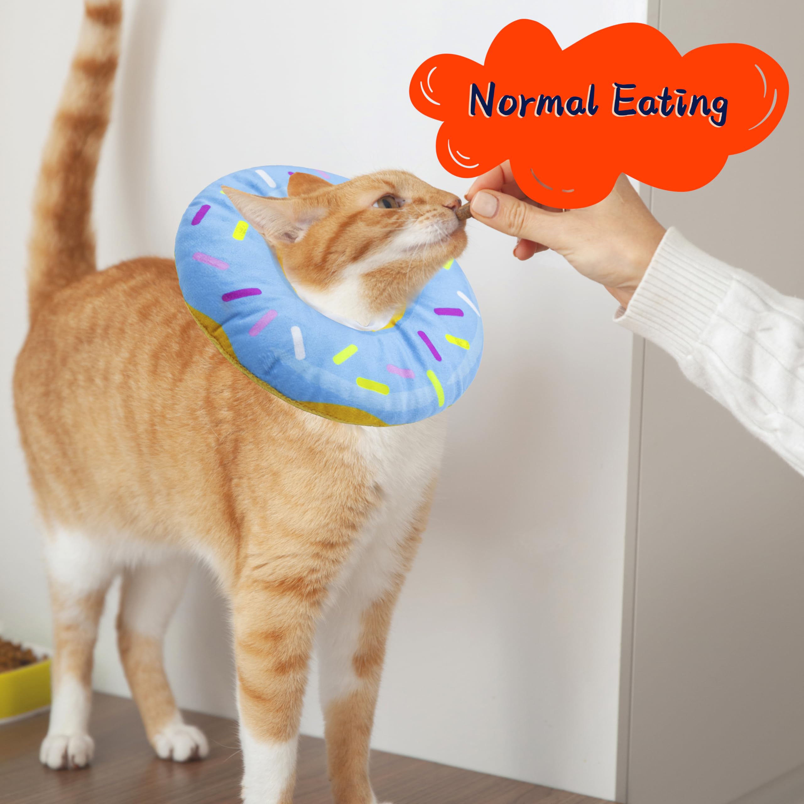 Seyezo cat cone collar showing its adjustable neck fit.
