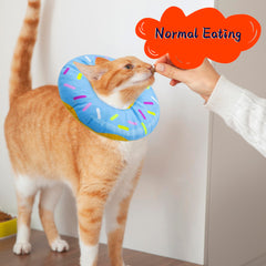 Seyezo cat cone collar showing its adjustable neck fit.