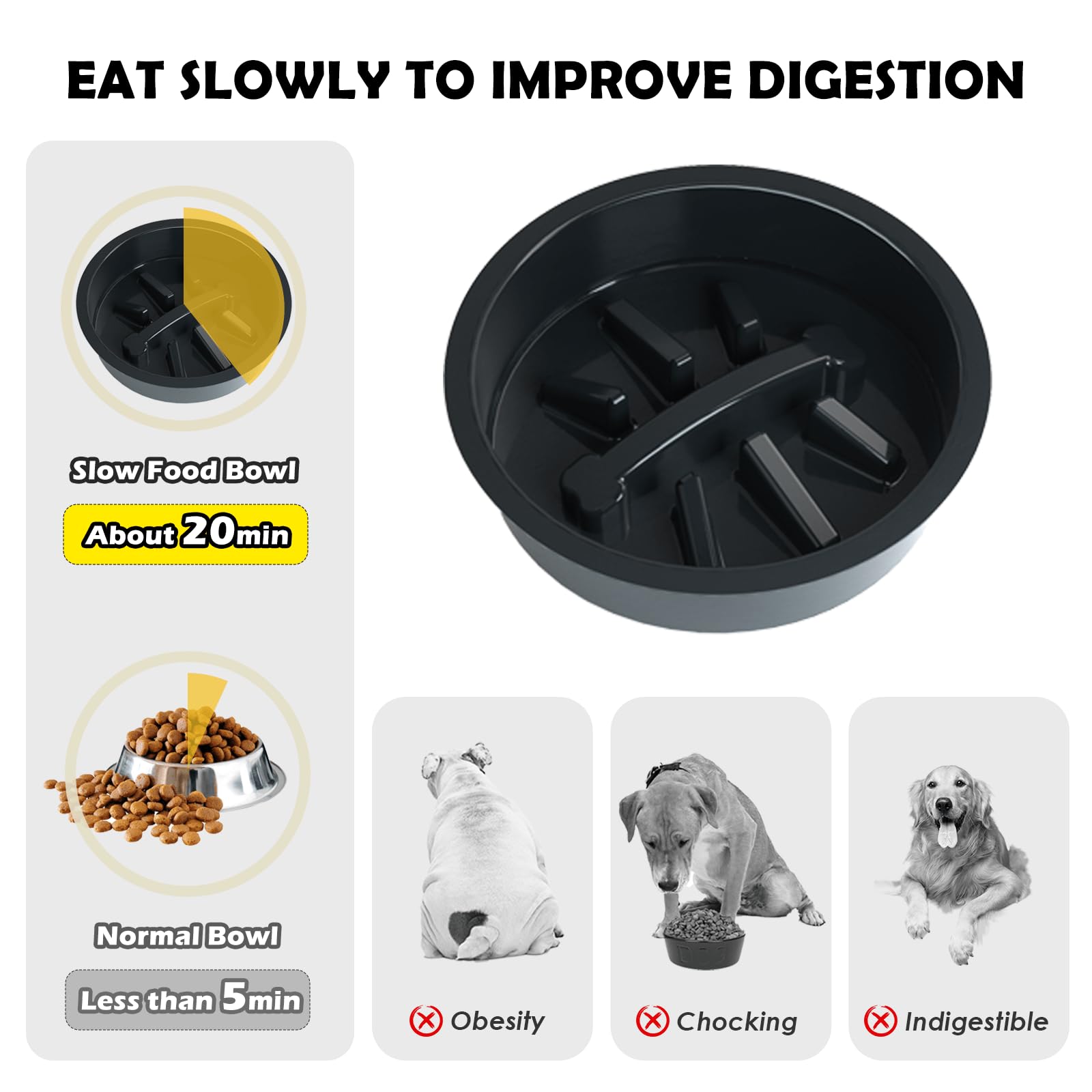 SHAINFUN Elevated Dog Bowls set up for a medium or large dog at mealtime.