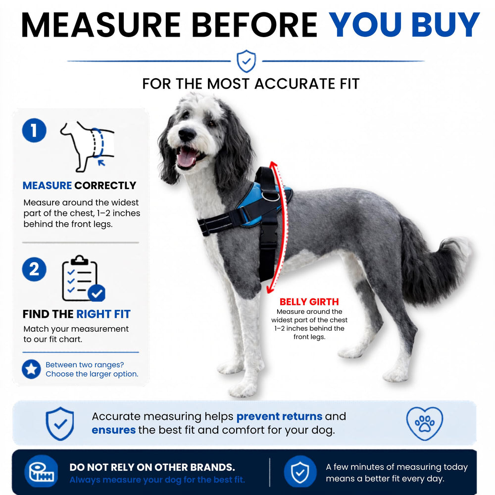 SHAWNCO Essential Dog Harness with adjustable chest and belly straps.