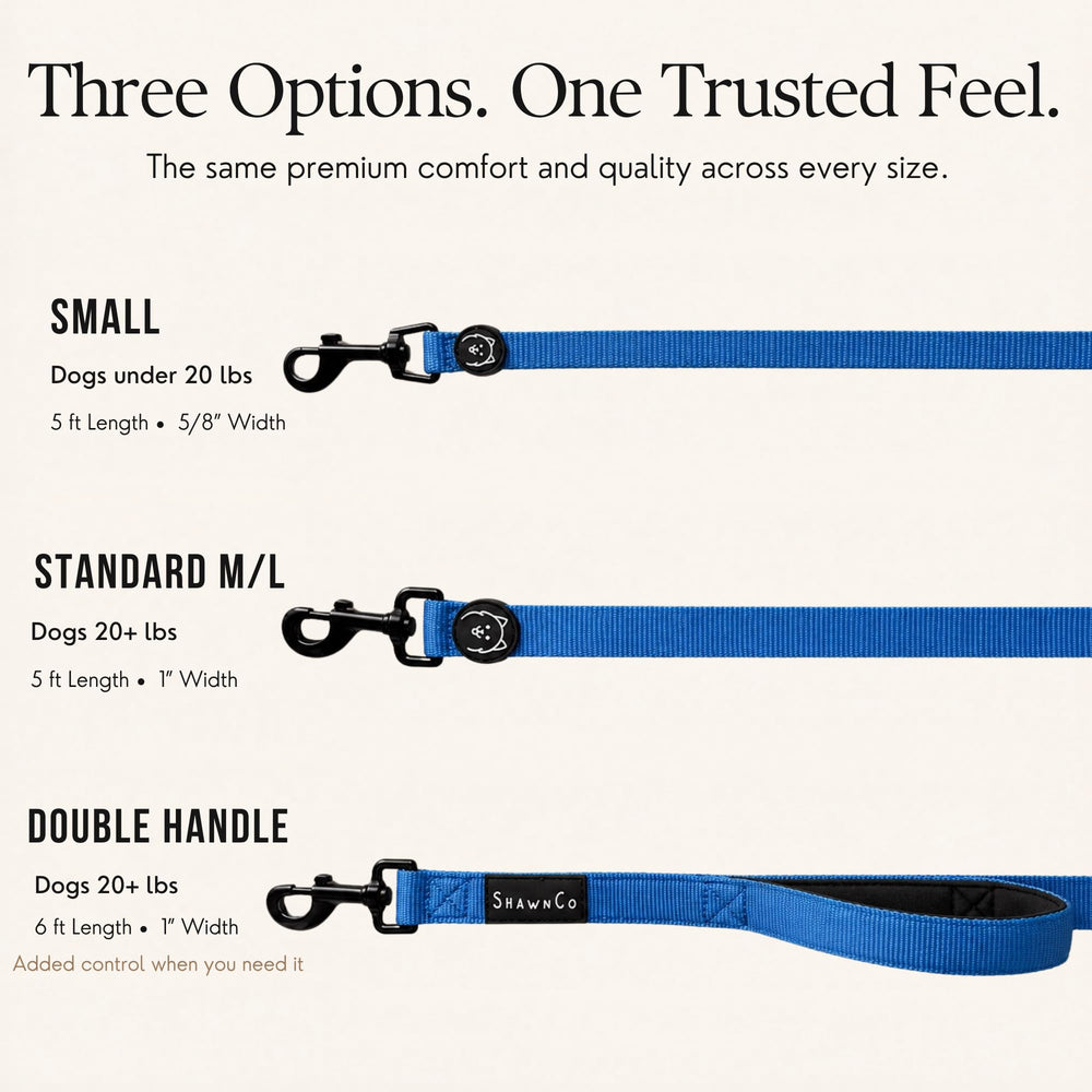 SHAWNCO Dream Walk Dog Leash showing the D-ring near the handle.