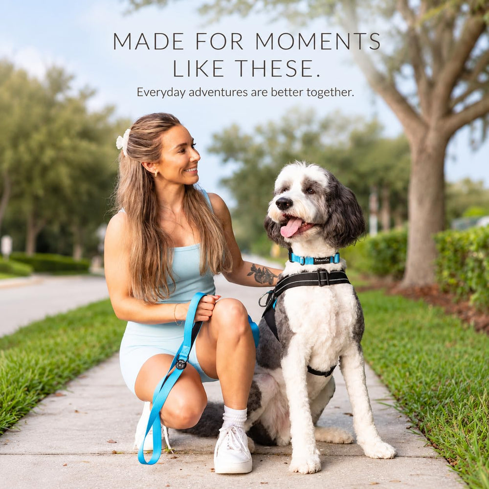 SHAWNCO Dream Walk Dog Leash shown from an alternate angle.