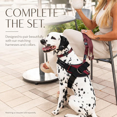 SHAWNCO Dream Walk Dog Leash shown in its Mustang Red color.