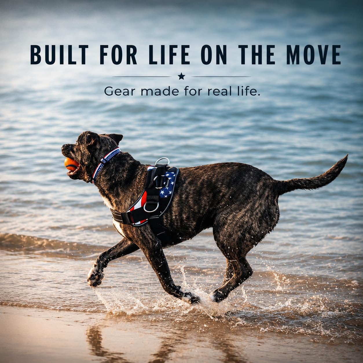 SHAWNCO Essential Dog Harness in the Driftwood color.
