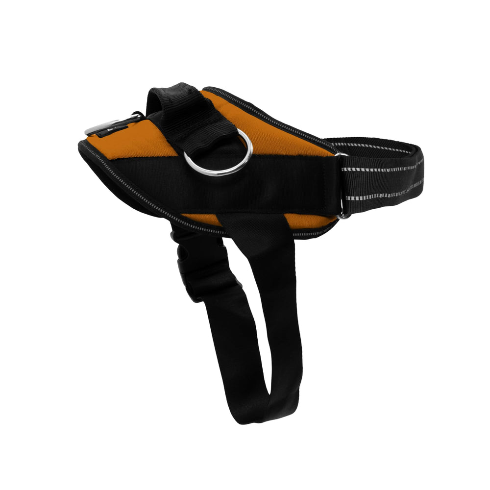 SHAWNCO Essential Dog Harness shown from the front in Sunset Orange.